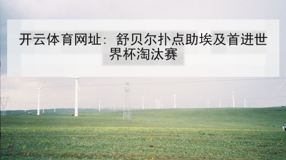开云体育网址: 舒贝尔扑点助埃及首进世界杯淘汰赛